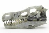Carved Labradorite Dinosaur Skull #218488-1